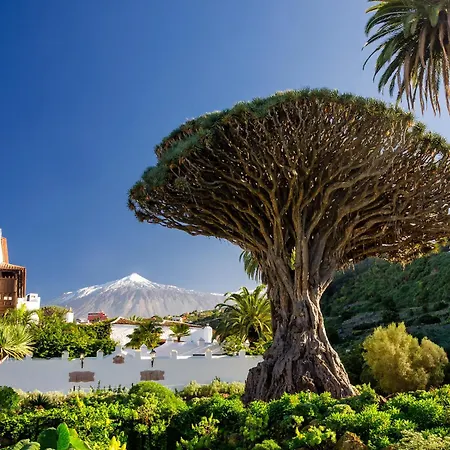 公寓 Eden Coqueto Estudio Con Vistas *